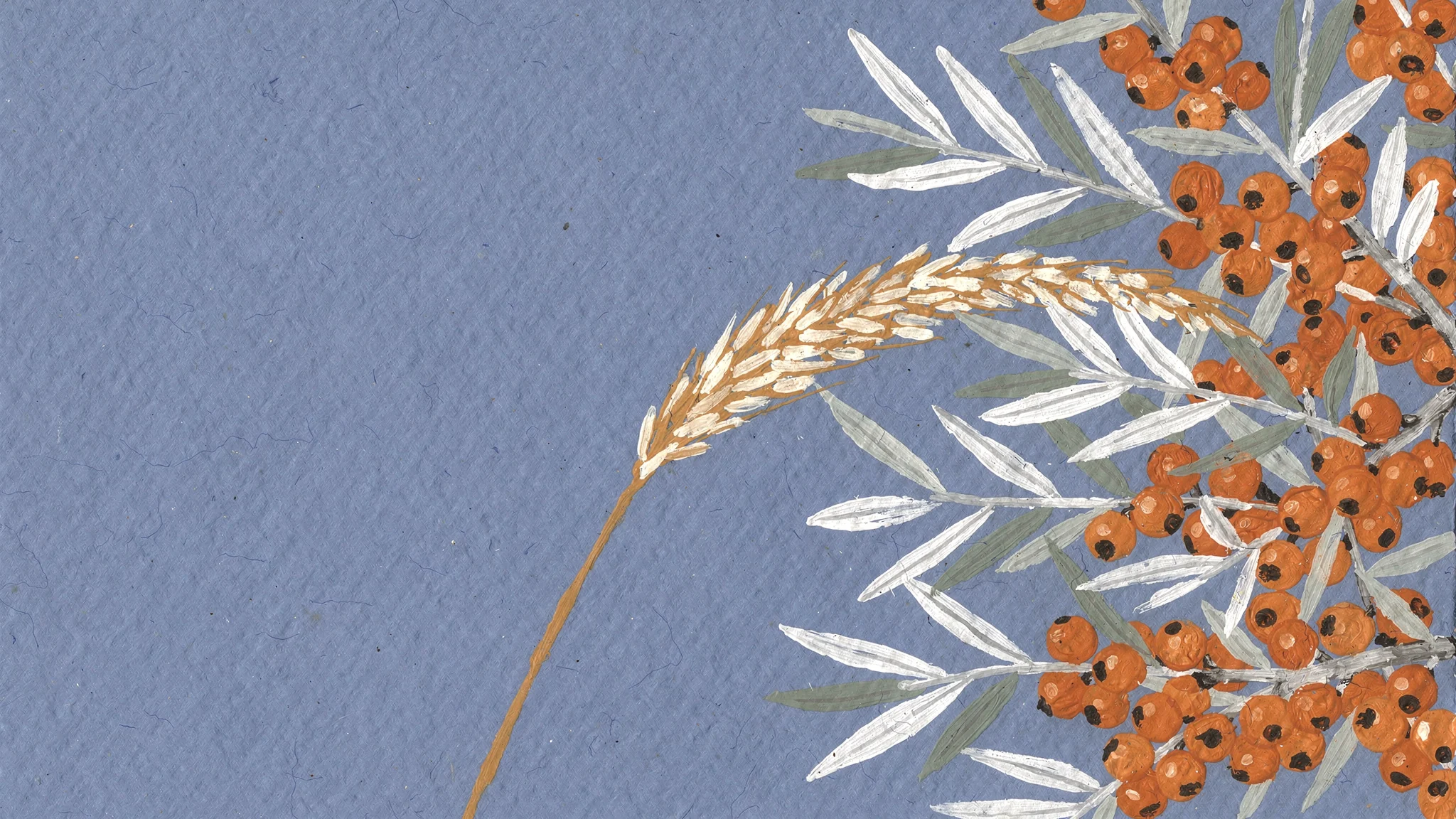A gouache painting of sea buckthorn, its orange berries and silver leaves crowding in from the right, with a single arc of marram grass, on blue paper.